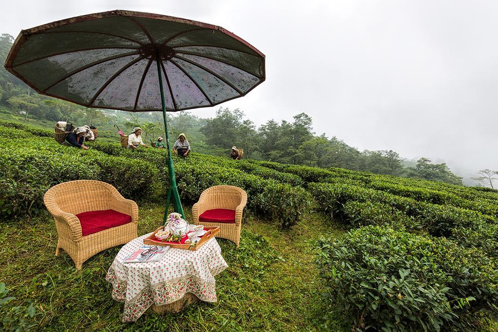 Ging Tea House Casa de hóspedes Darjeeling  Exterior foto