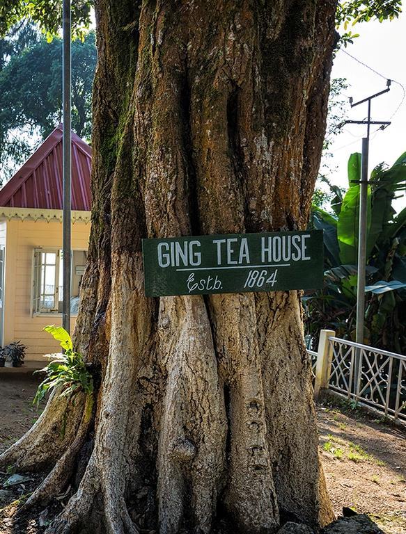 Ging Tea House Casa de hóspedes Darjeeling  Exterior foto