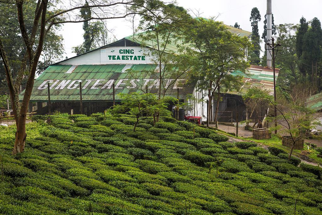 Ging Tea House Casa de hóspedes Darjeeling  Exterior foto